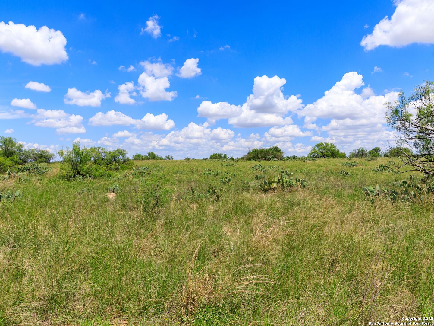 photo of ranch landscape