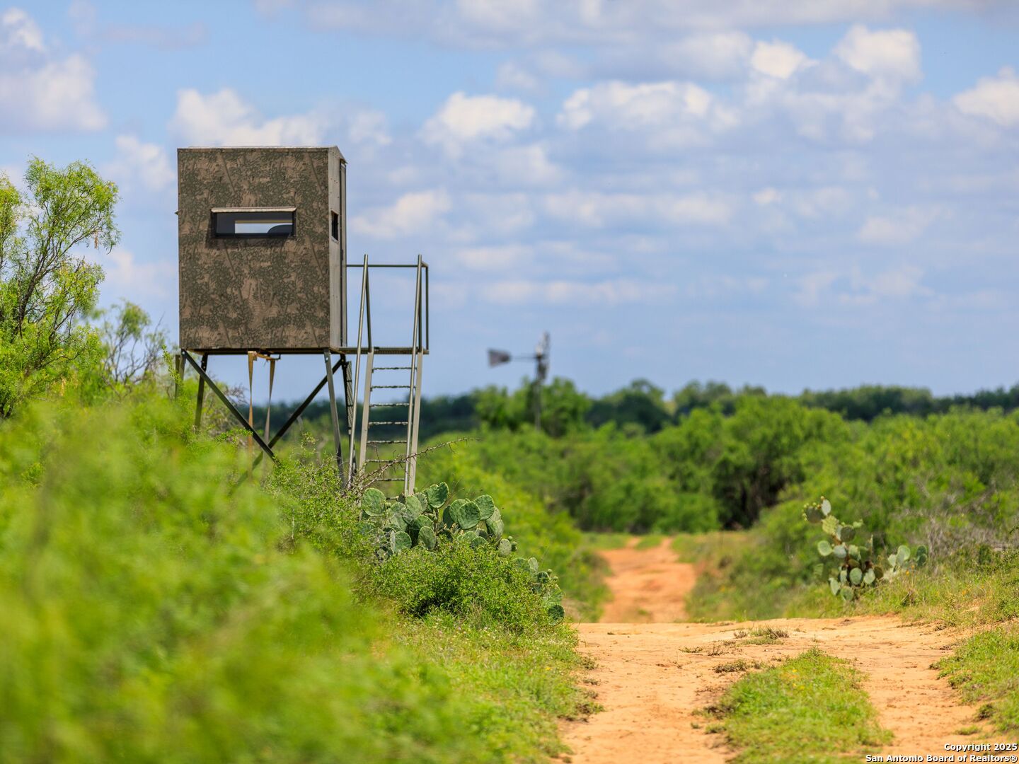 photo of ranch landscape