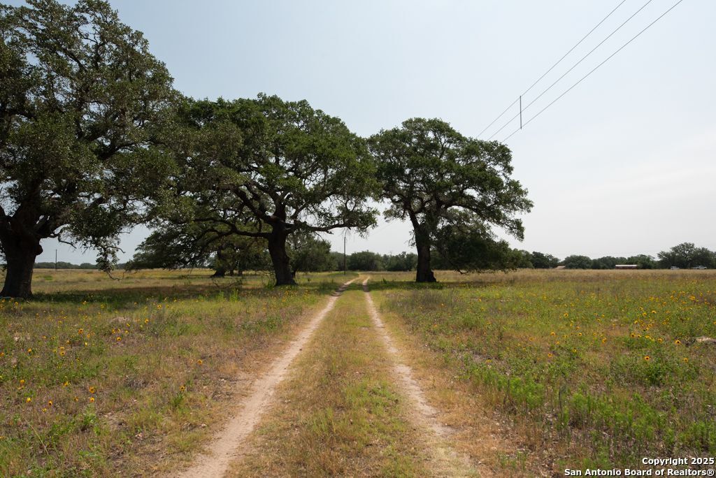 photo of ranch landscape