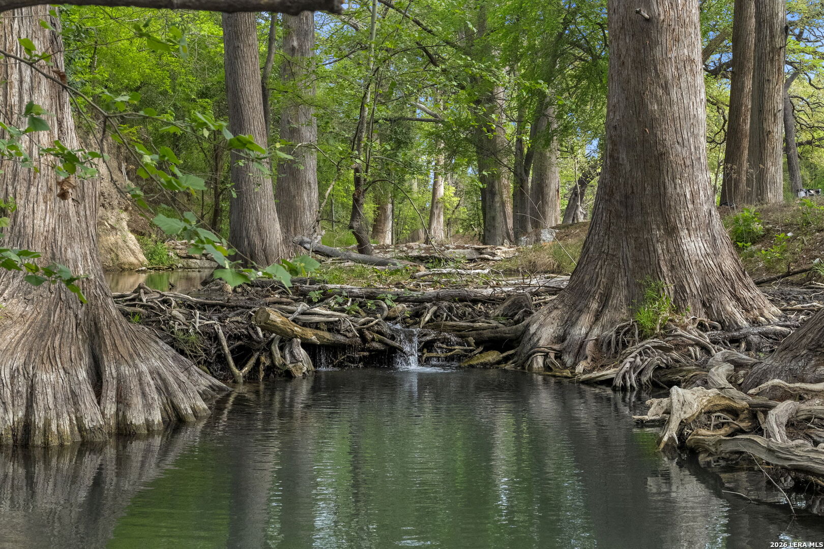photo of ranch landscape