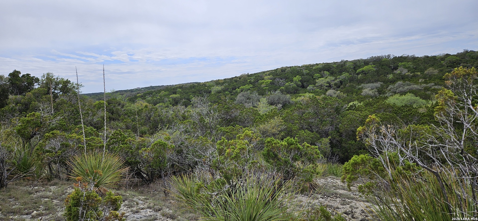 photo of ranch landscape
