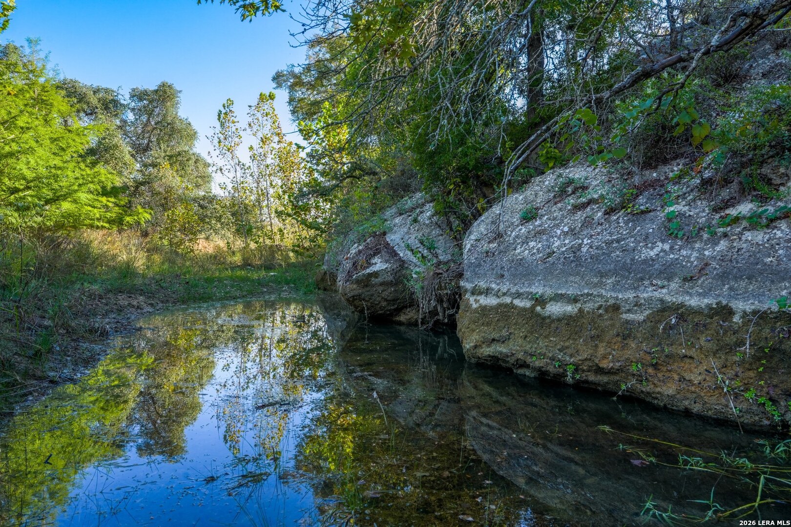 photo of ranch landscape
