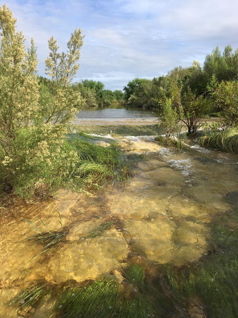 photo of ranch landscape