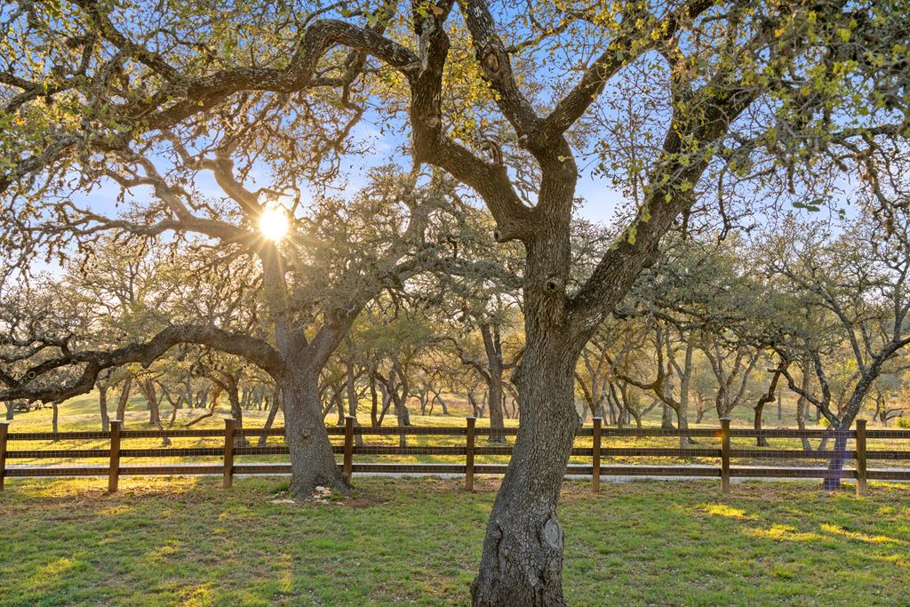 photo of ranch landscape