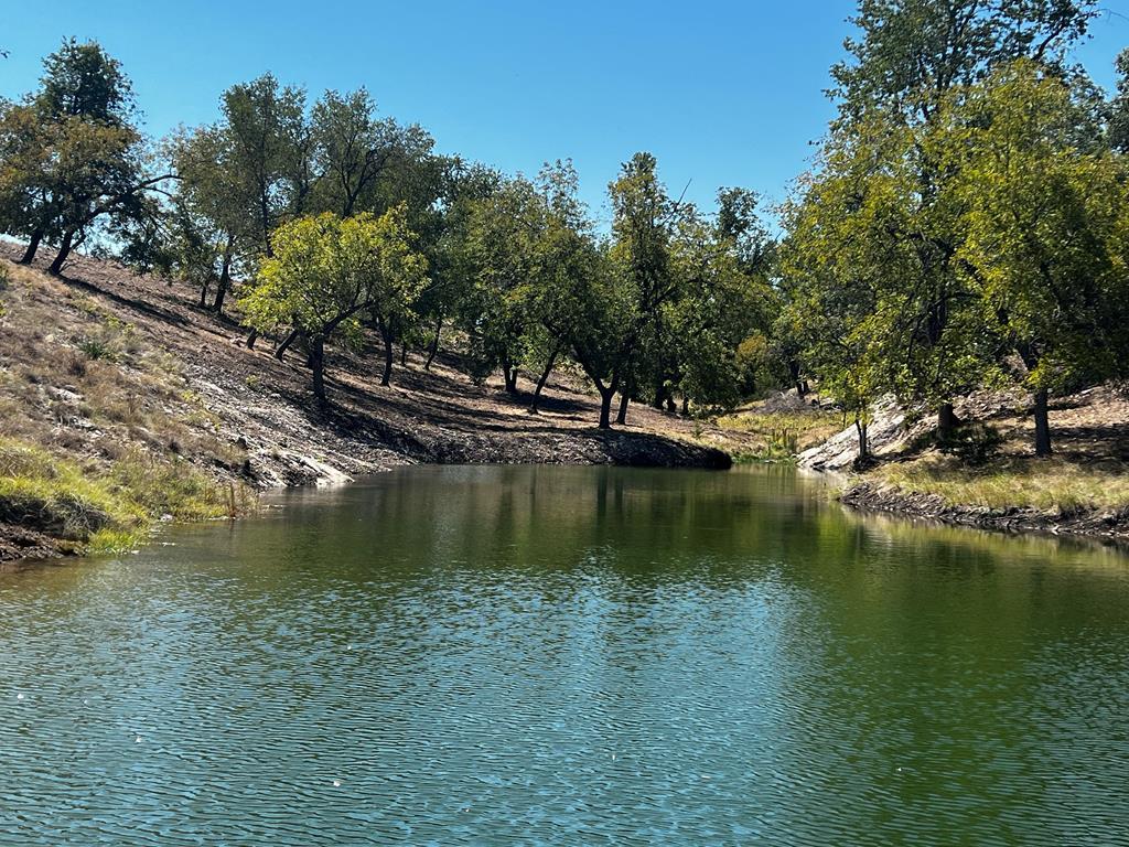 photo of ranch landscape