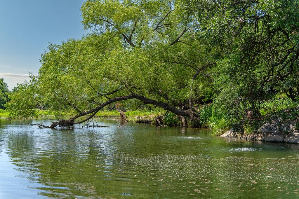 photo of ranch landscape