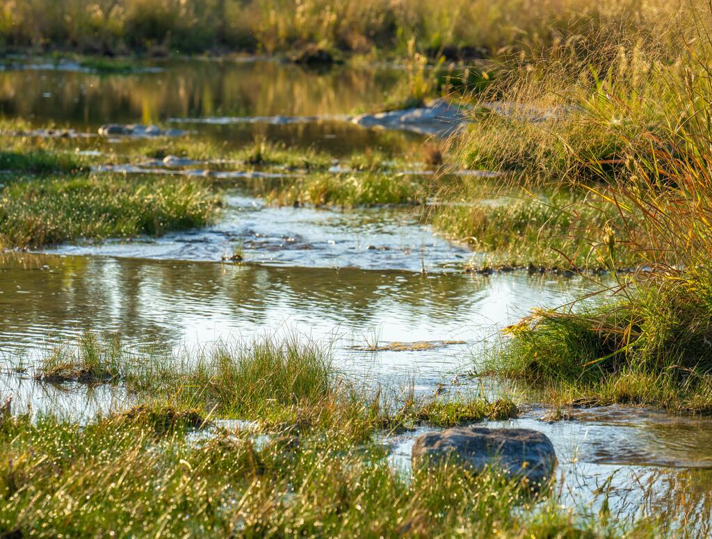 photo of ranch landscape