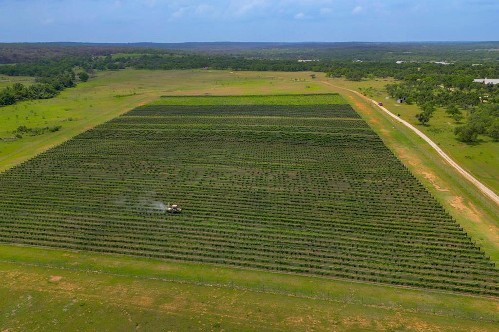 photo of ranch landscape