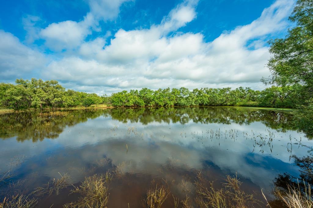 photo of ranch landscape